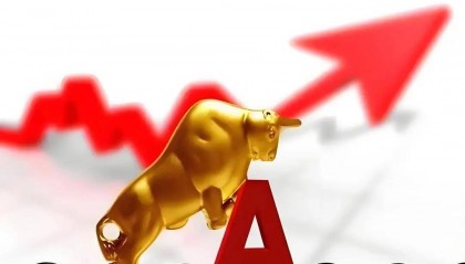 国内细胞健康产业有哪些股票？