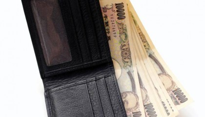 币口袋(壁口袋地蜘蛛)