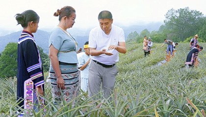 【中国组织人事报新闻网关注】勐海县：人才兴农