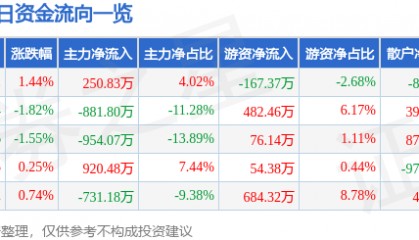 股票行情快报：电科芯片（600877）5月26日主力资金净买入250.83万元