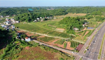 国家级名单公布！遂宁+1