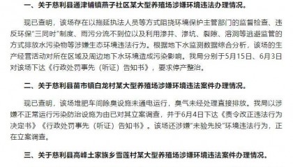 张家界凌晨通报！