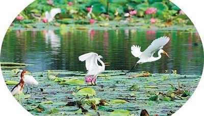 河北衡水拧紧“水龙头”