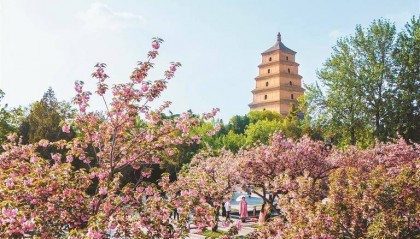 西安：文物堆里“长”出的城市