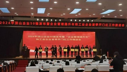 2024平顶山企业50强榜单发布