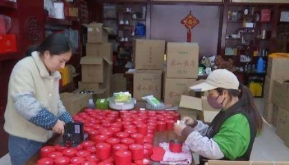 六安春茶“抢鲜”上市！