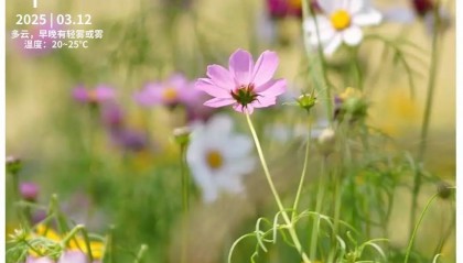 新闻早茶｜珠海首座！专为儿童打造！