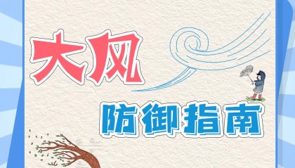 哈尔滨发布预警：9级！减少外出！