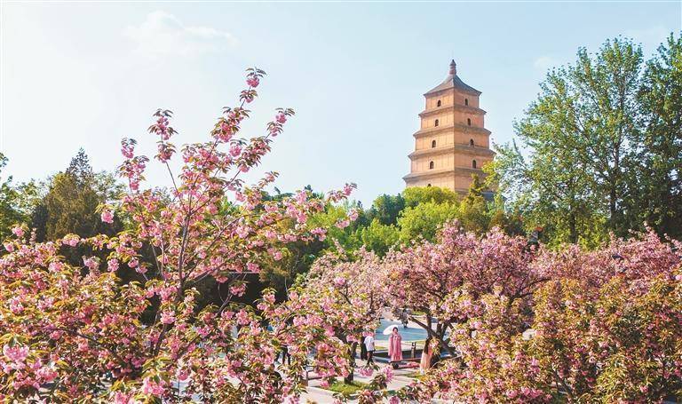西安：文物堆里“长”出的城市