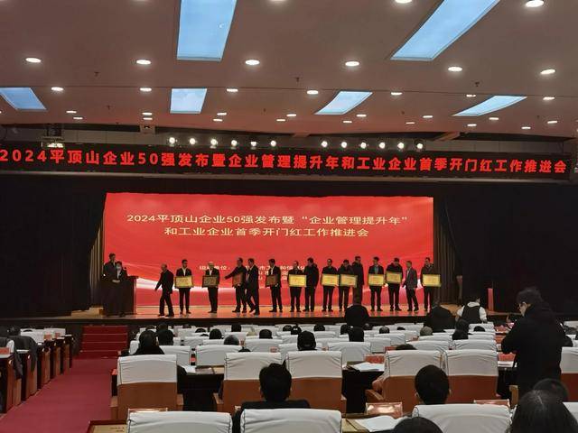 2024平顶山企业50强榜单发布