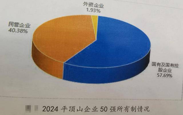 2024平顶山企业50强榜单发布