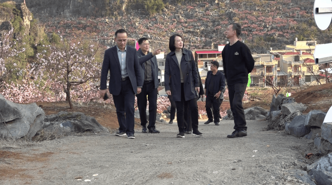 贺州市人大来江永考察