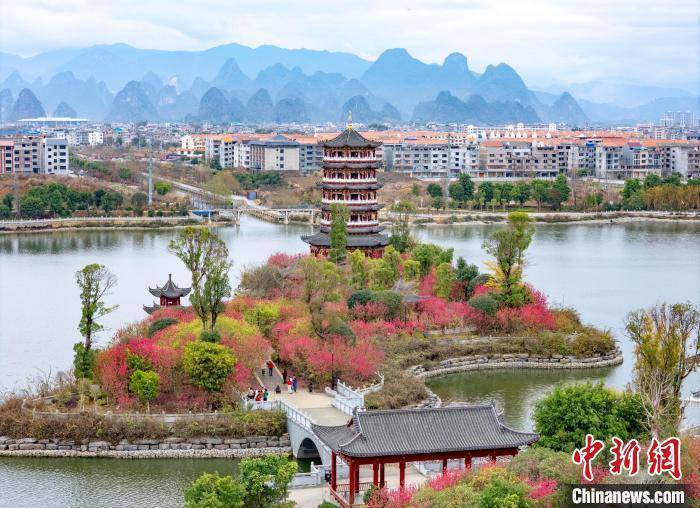 广西贺州：湿地公园桃花开
