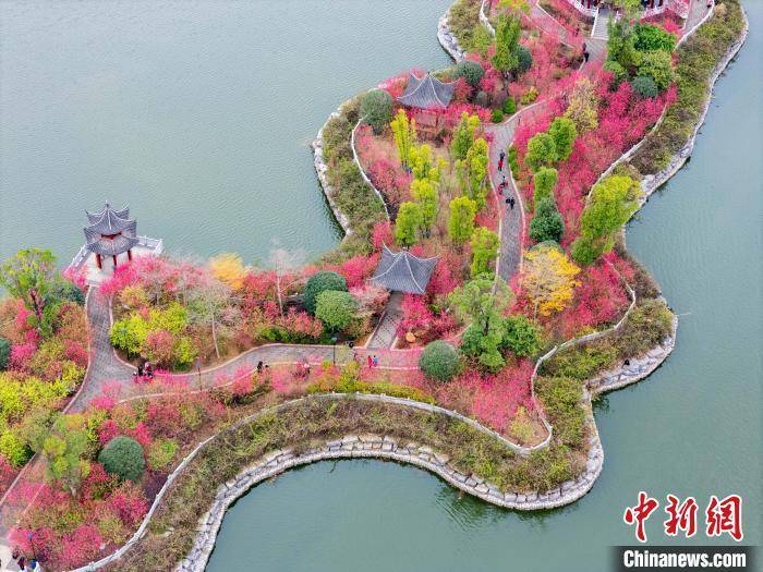 广西贺州：湿地公园桃花开