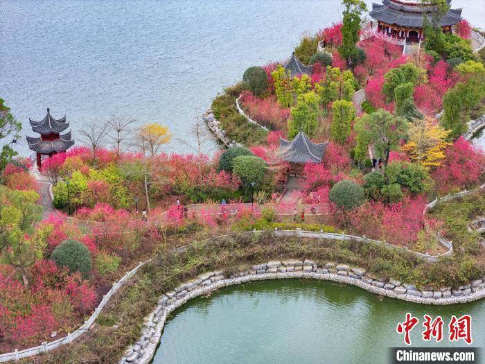 广西贺州：湿地公园桃花开