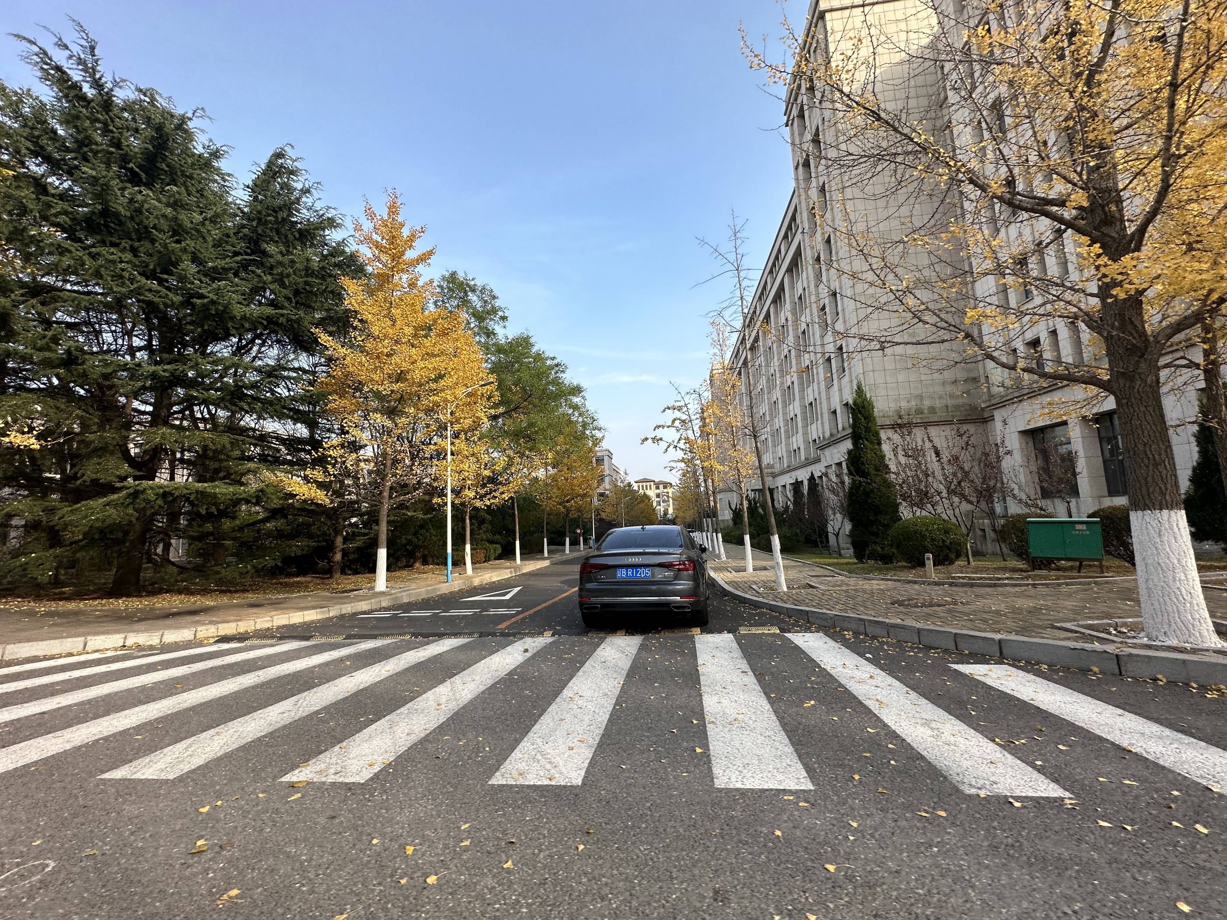 大连大学2+2对决南京艺术学院2+2国际本科，大连大学在艺术留学方面突出重围的缘由！