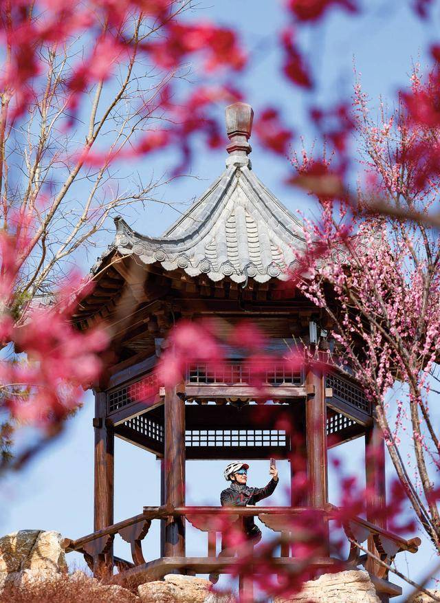 石家庄：赴一场与繁花的约会