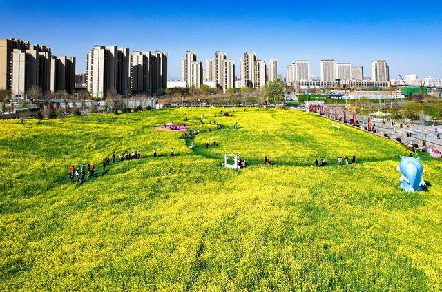 石家庄：赴一场与繁花的约会