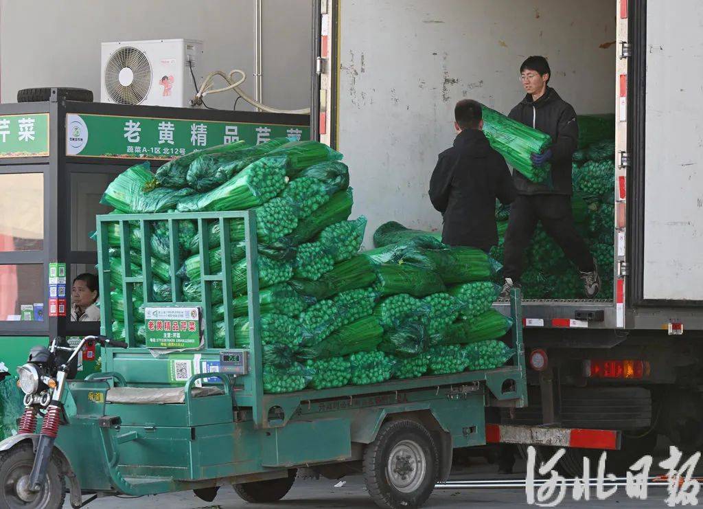 石家庄最大“菜篮子”升级记——探访石家庄国际农产品批发交易中心
