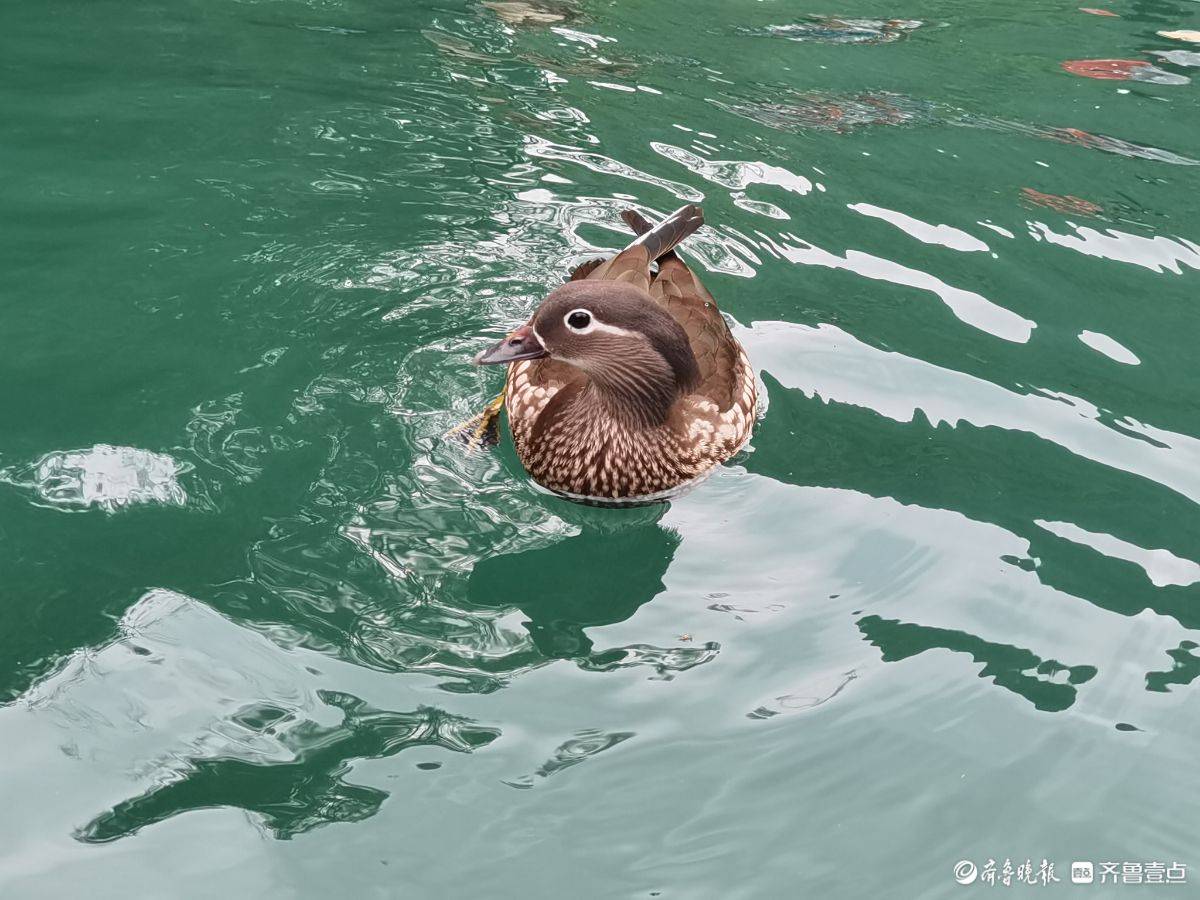 贵州荔波小七孔风景区的鸳鸯湖