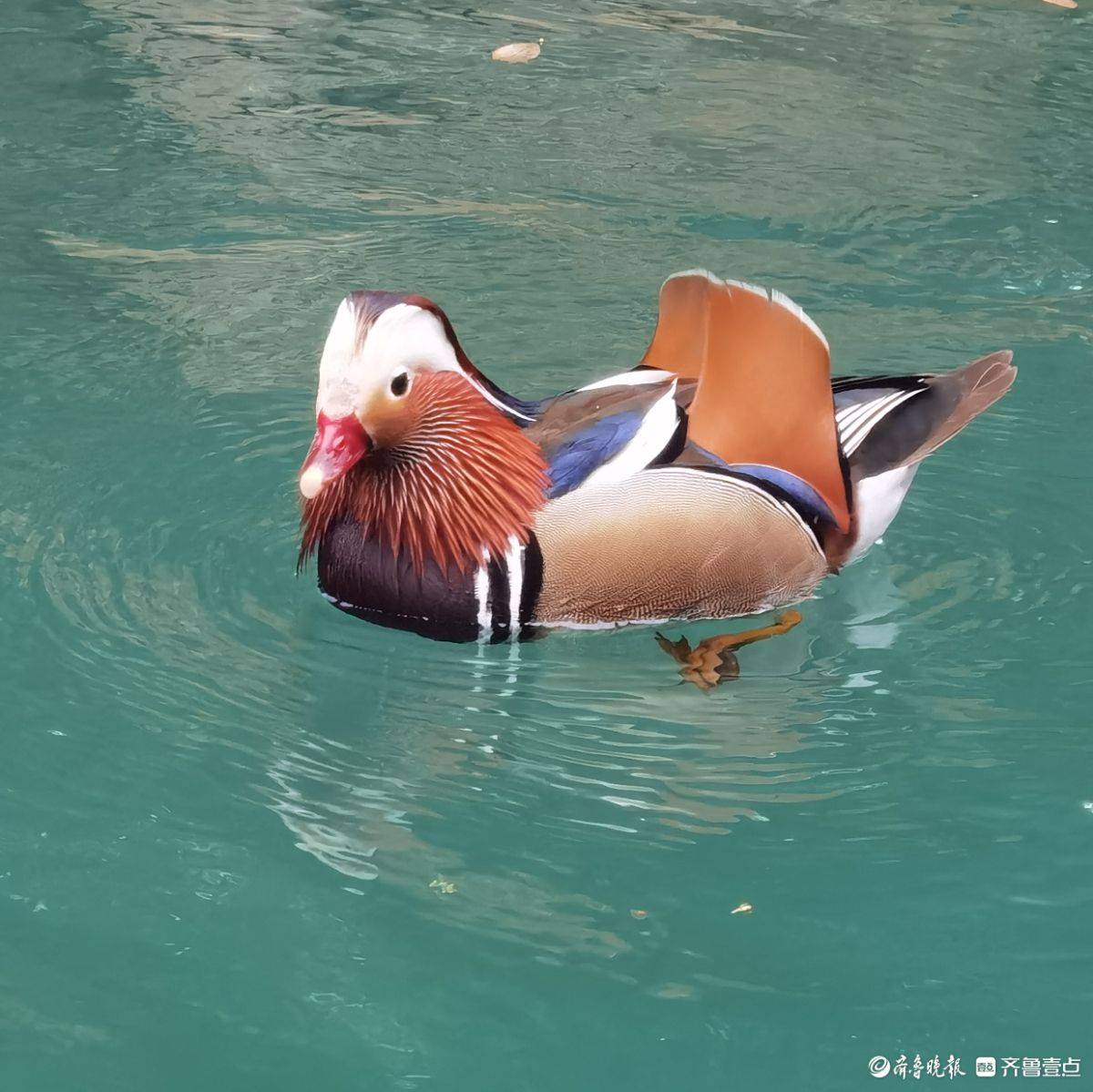 贵州荔波小七孔风景区的鸳鸯湖