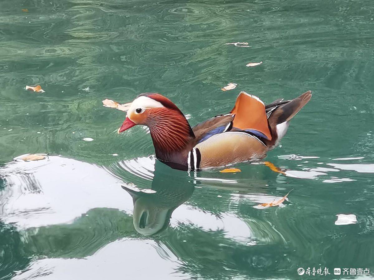 贵州荔波小七孔风景区的鸳鸯湖