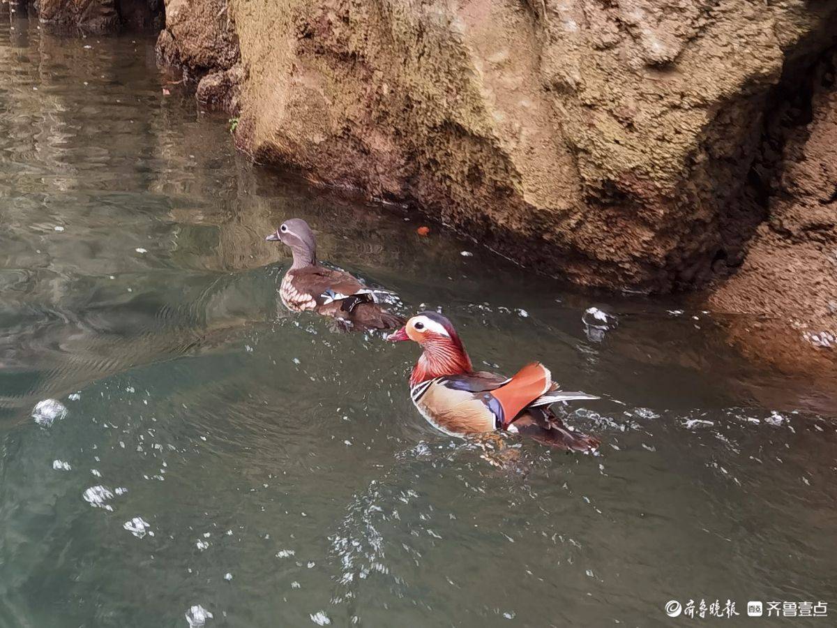 贵州荔波小七孔风景区的鸳鸯湖