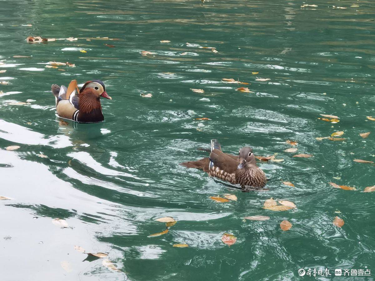 贵州荔波小七孔风景区的鸳鸯湖