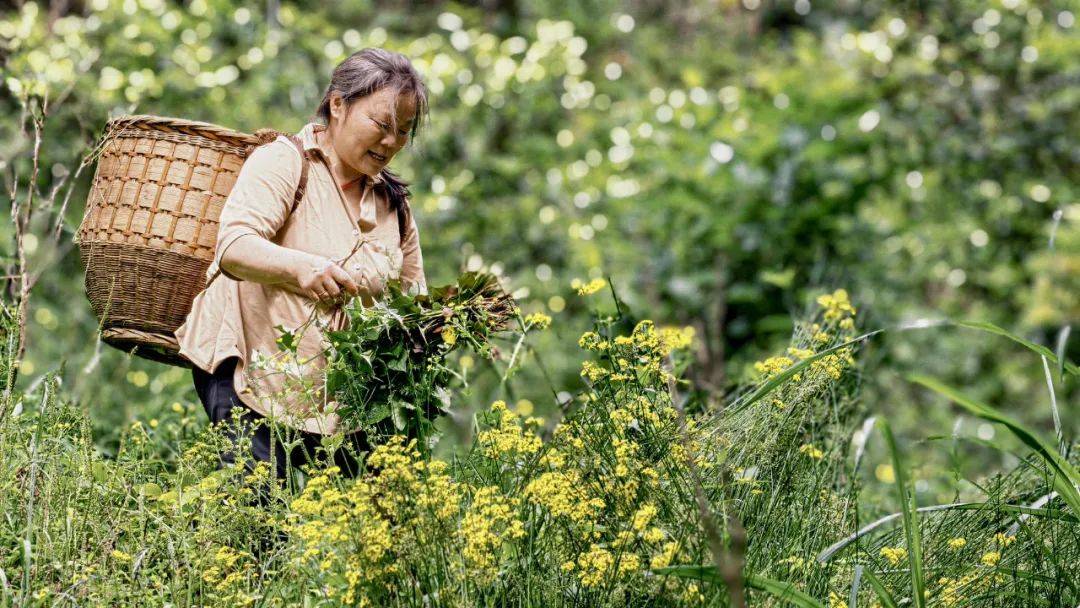 五一，到桂林吃“春味”
