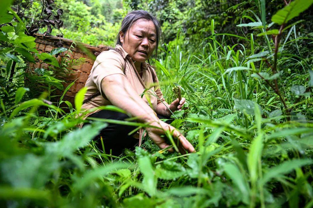 五一，到桂林吃“春味”
