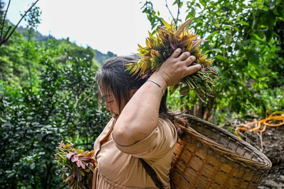 五一，到桂林吃“春味”