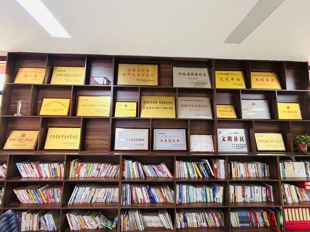 基层治理驻马店实践