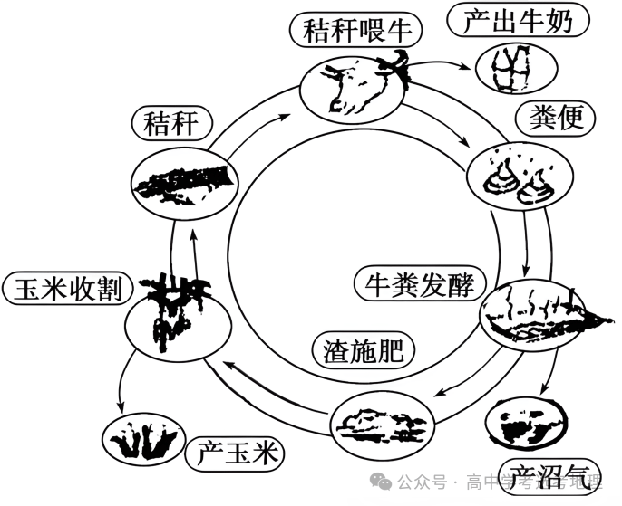 【地理热点】2025年高考地理热点问题之生态文明建设