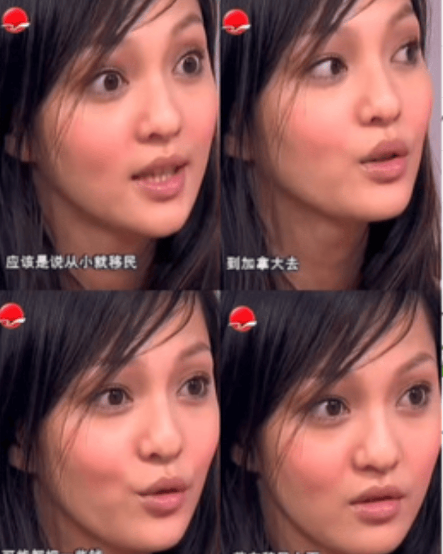 张韶涵演唱会发言惹争议，自称她代表中国人精神，被扒出加拿大籍