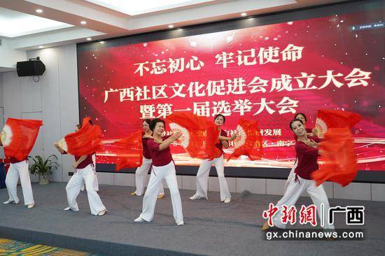 广西社区文化促进会在南宁成立