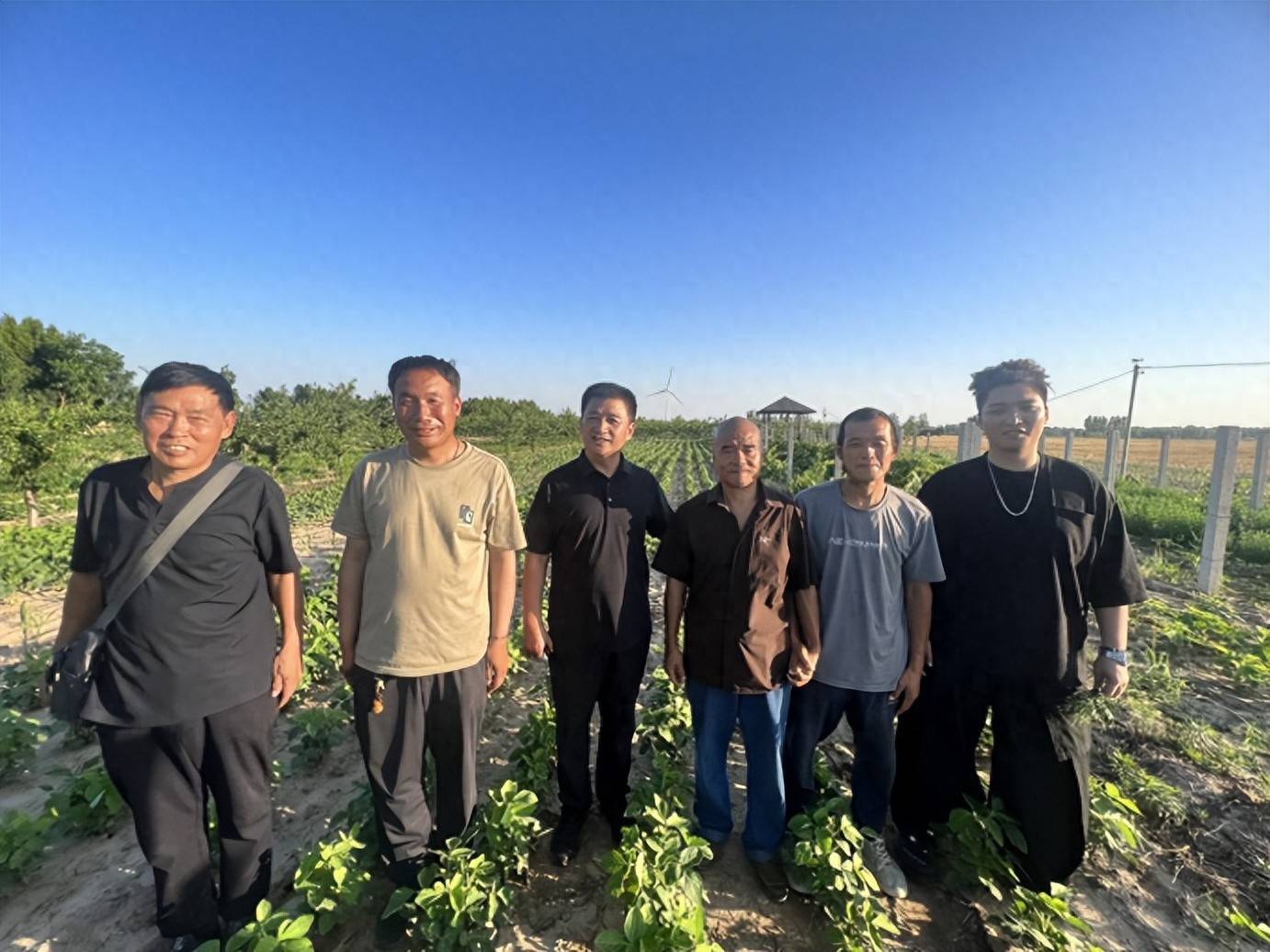 夏至：衡水生态之约