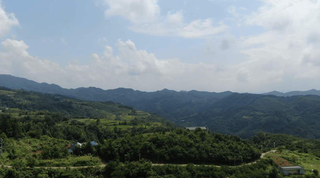 湖南中方县：特色果业“多点开花” 庭院经济“丰景”独好