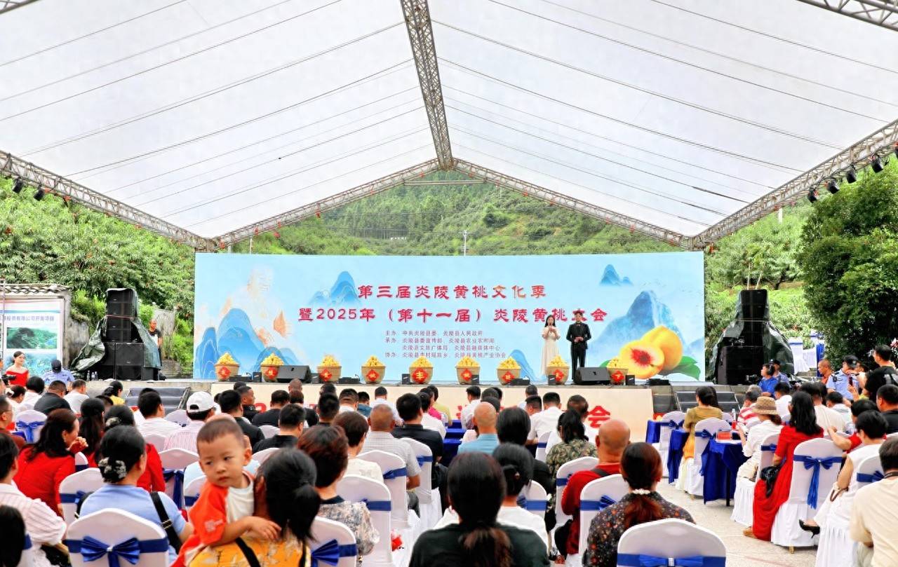 湖南炎陵：黄桃迎盛会，桃醉八方客