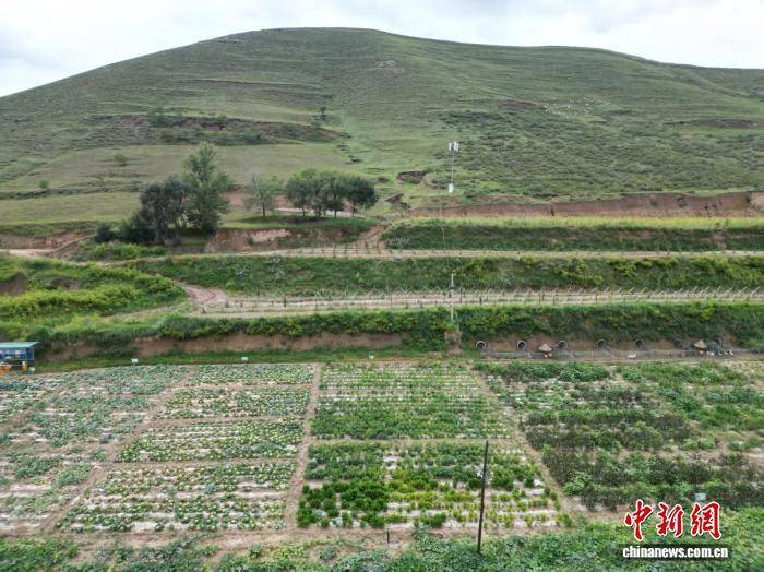 (乡村行·看振兴)长城脚下长城寨:盘活闲置农房 兴起乡村旅游