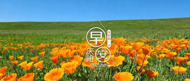 早安庆阳丨事关育儿补贴,这些行为将被追责→