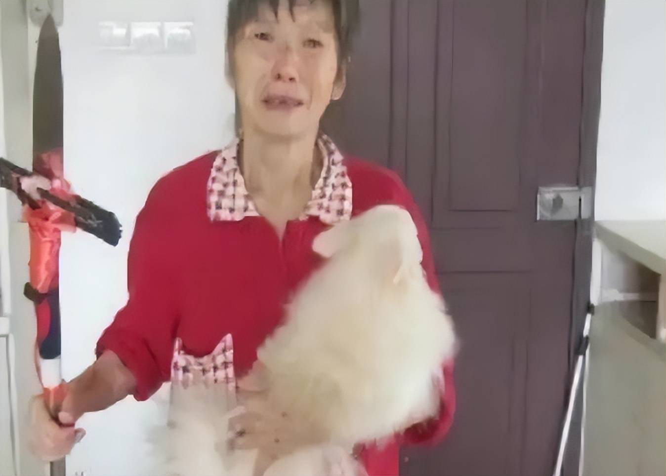 每天发一张恐怖自拍？天涯论坛最诡异事件之一，小婷562始末