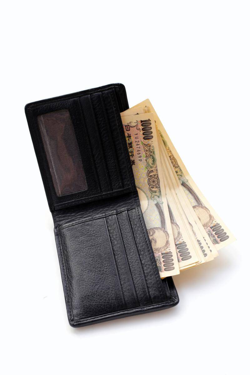 币口袋(壁口袋地蜘蛛)